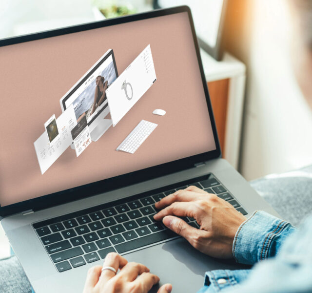 Ve and Vile Case Study